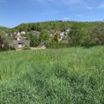 Top-Lage Mit Weitblick