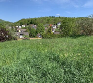 Top-Lage Mit Weitblick