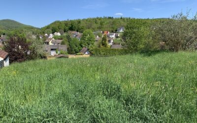 Top-Lage Mit Weitblick