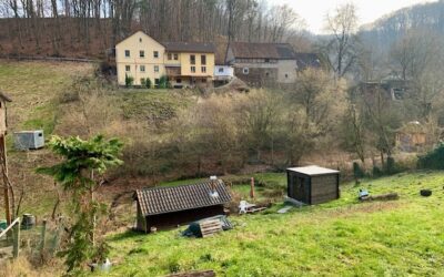 Immobilien 4 Natur Pur...