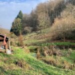 Idylle Mit Weitblick