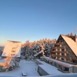 Zuhause Im Schwarzwald