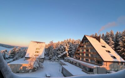 Zuhause Im Schwarzwald