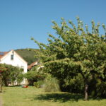 Gartenanlage