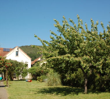 Gartenanlage