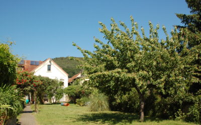 Immobilien 3 Gartenanlage
