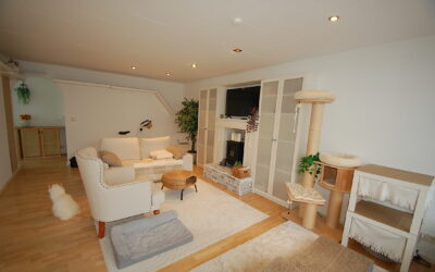 Immobilien 15 Wohnzimmer