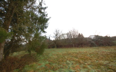 Immobilien 18 Ps 69A1D1Ddc3833 0