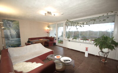 Immobilien 13 Wohn-Esszimmer