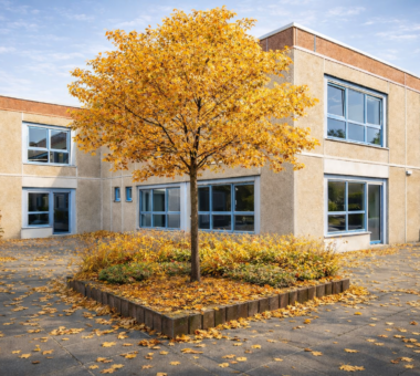 Außenbereich Mehrzweckgebäude