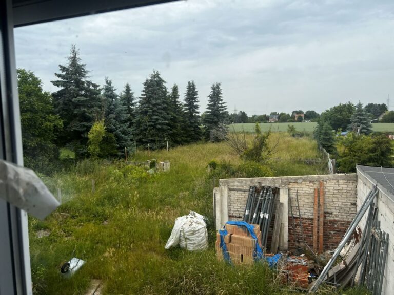 Blick_vom_OG_in_Gartenbereich