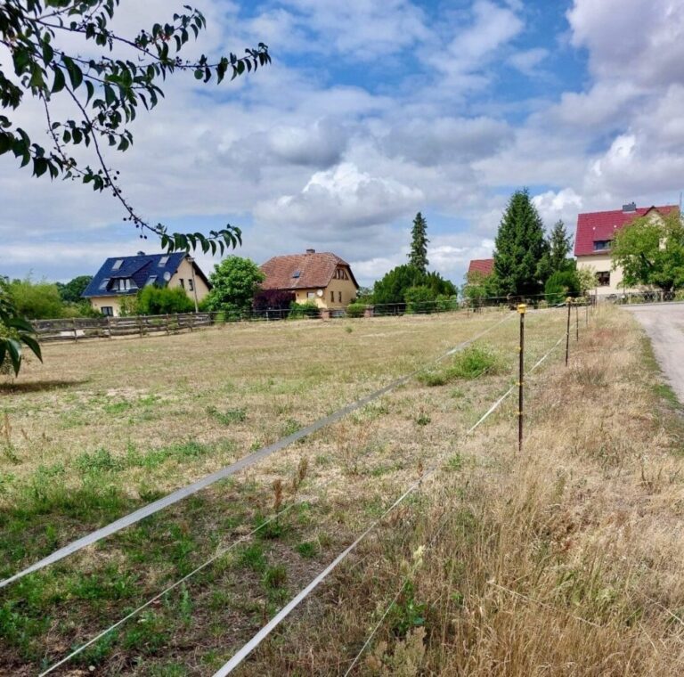 Grundstück mit Umgebung