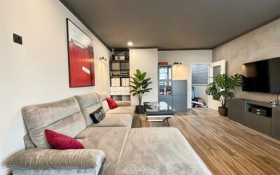 Immobilien 9 Wohnzimmer
