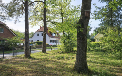 Immobilien 4 Grundstück