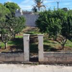 Whatsapp Image 2025-02-24 At 10.59.30