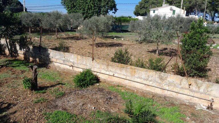 WhatsApp Image 2025-02-24 at 11.01.27 (1)