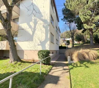 Haus