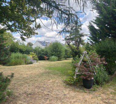 Grundstück Ostseite