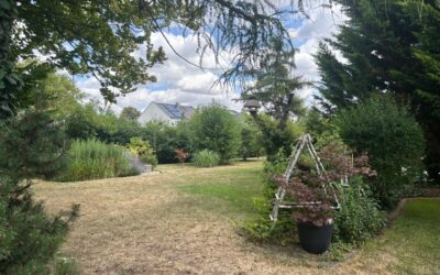 Grundstück Ostseite