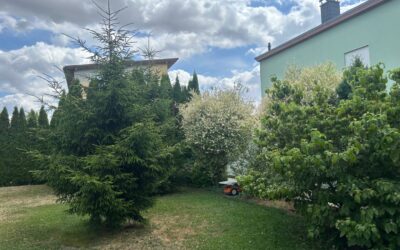 Immobilien 10 Grundstück Südseite