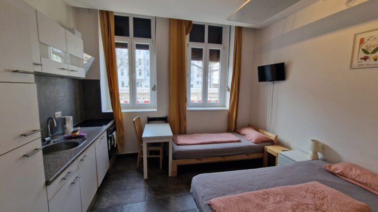 Wohnung EG Appartement