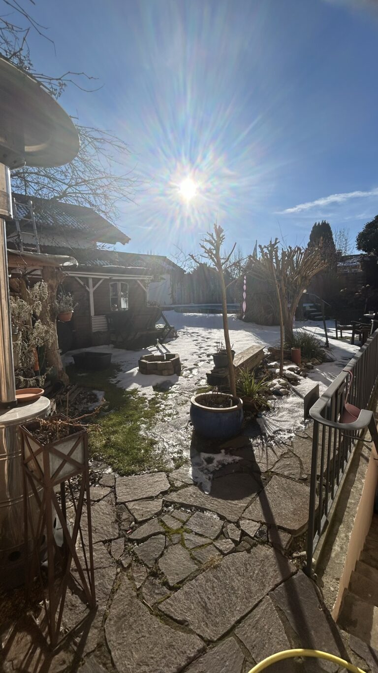 Blick in den Garten und Pool