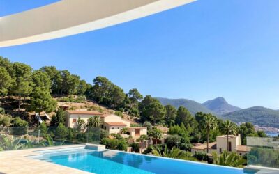 Pool_View_