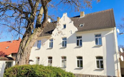 Immobilien 8 Haus - (Ki Generiert) Sanierungsbeispiel