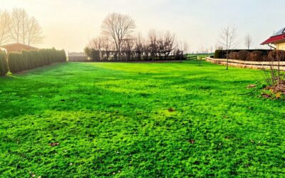 Willkommen In Ihrem Neuen Retreat Für Die Ganze Familie
