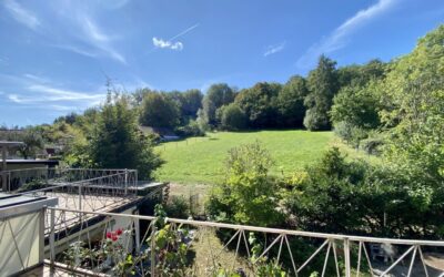 Immobilien 15 Ansicht Garten