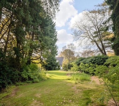 Viel Platz Zum Planen