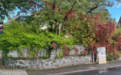 Immobilien 7 Außenansicht