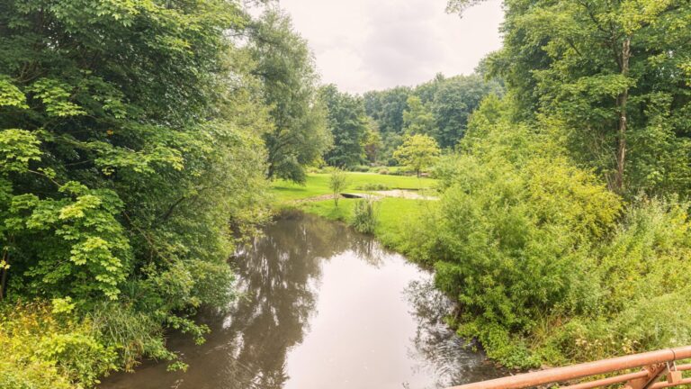 Das nahegelegene Alstertal-Natur pur