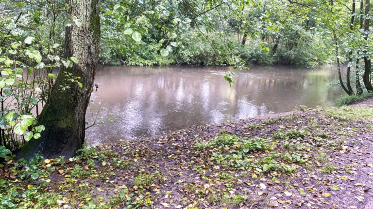 Der Alsterlauf-um's Eck