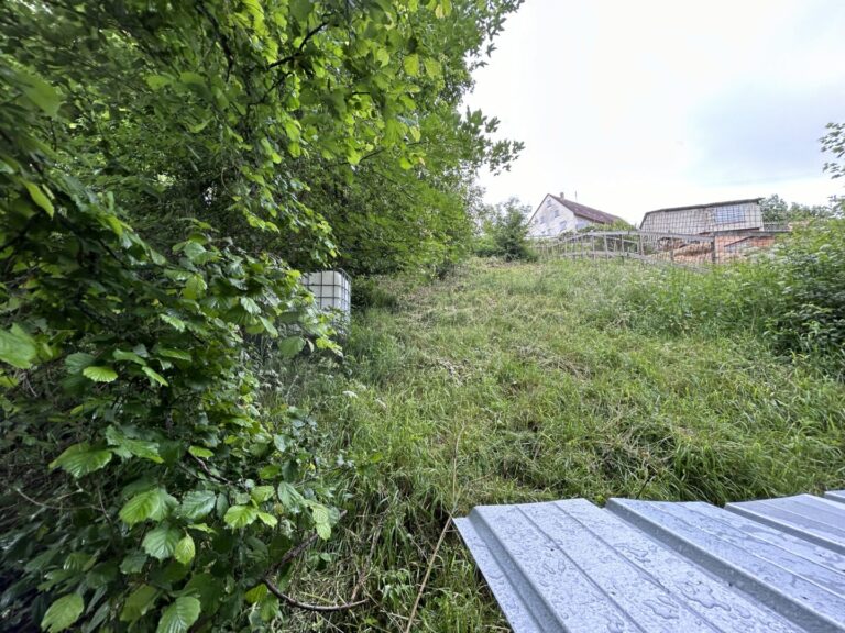 Viel Platz am Südhang